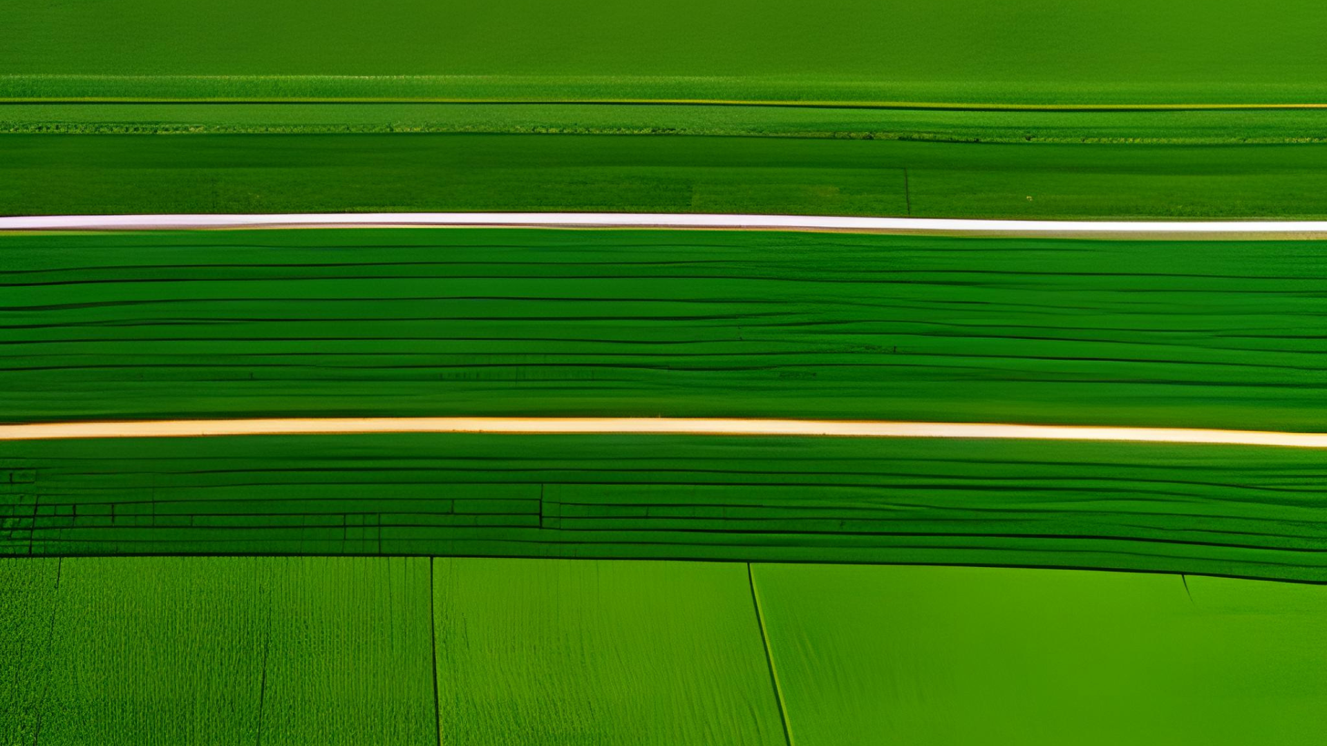 Untitled design Untitled design